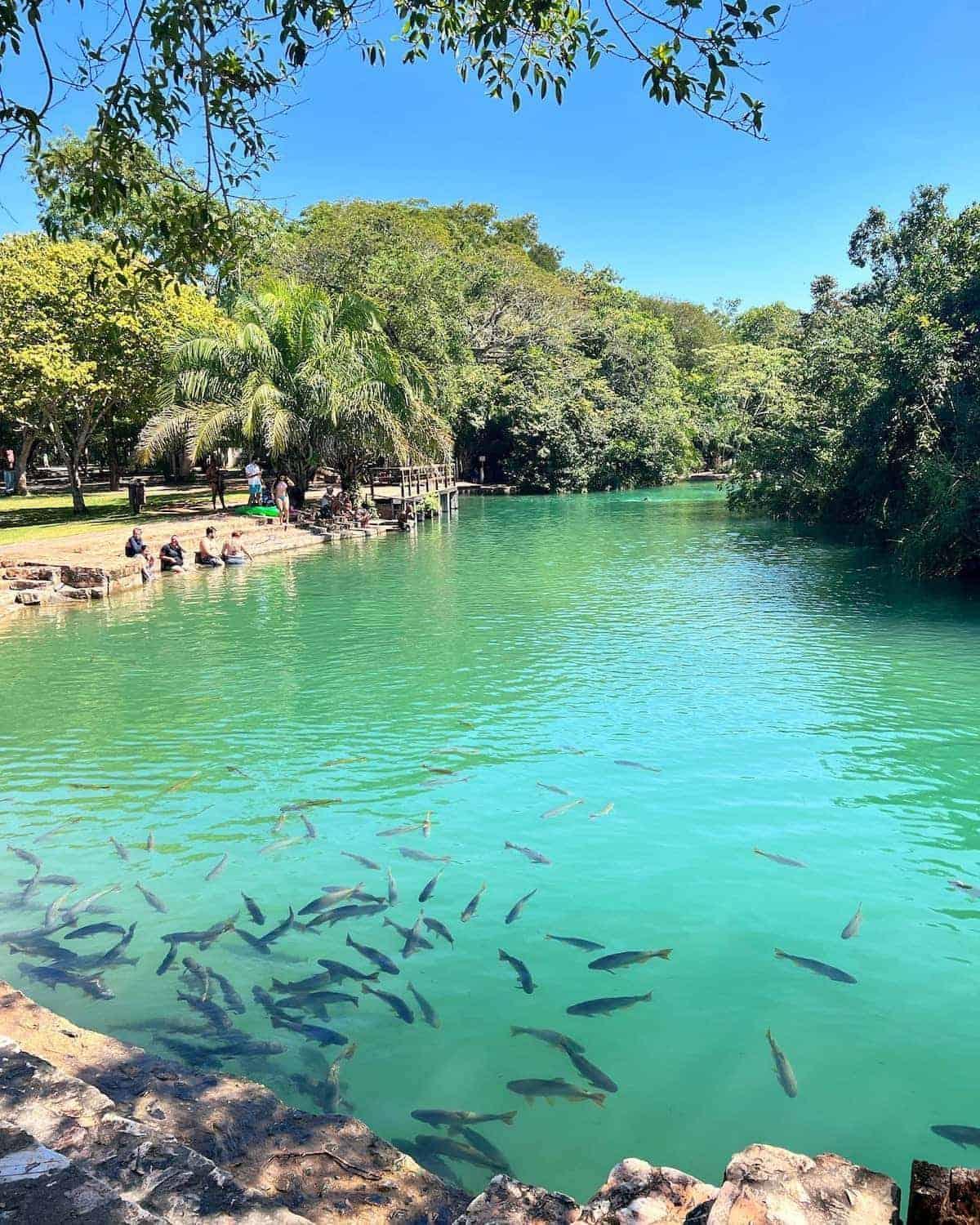 Barra Bonita Pousada โบนิโต ภายนอก รูปภาพ